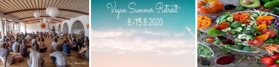 VSR-Header-1-1.png