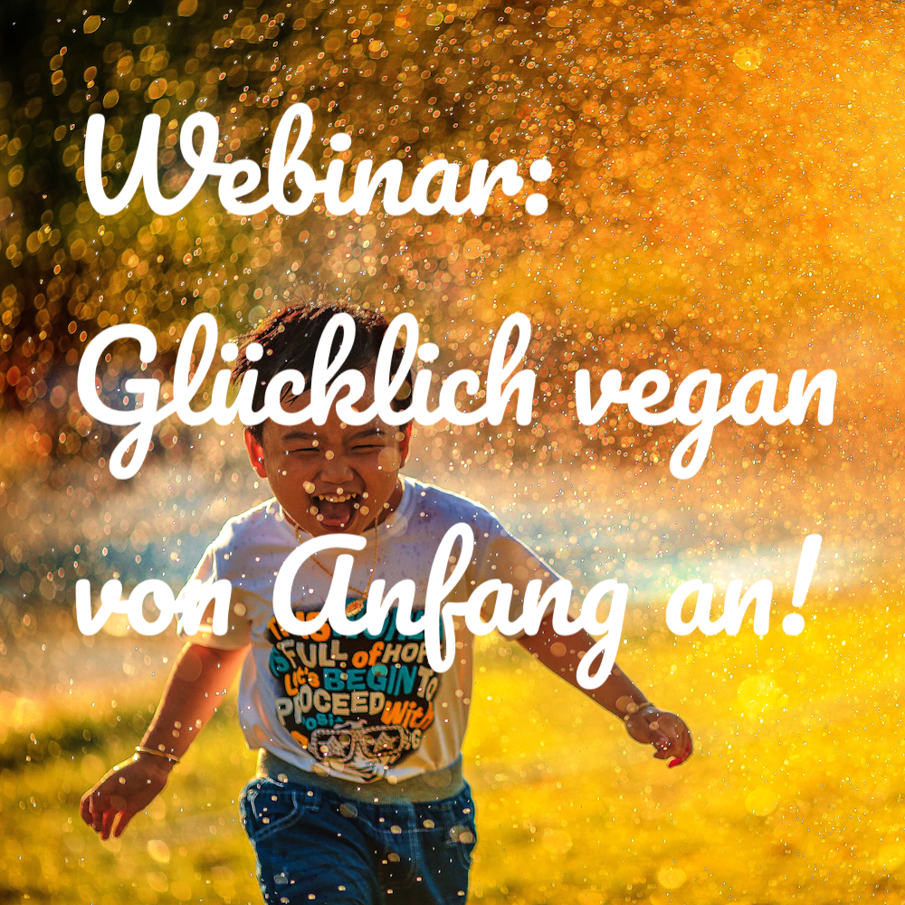 Webinar-webseite-foto.png